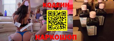 СК Гатчина