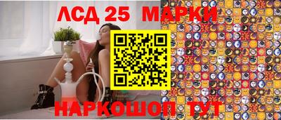 СК Гатчина