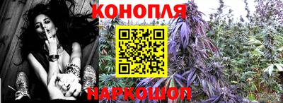 дистиллят марихуана Гай