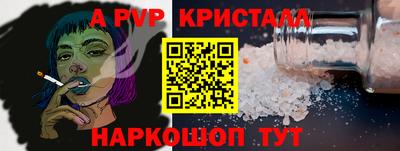 СК Гатчина