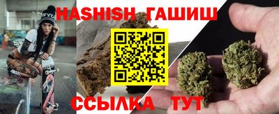 СК Гатчина