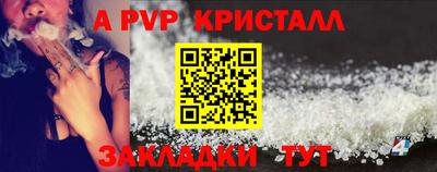 СК Гатчина